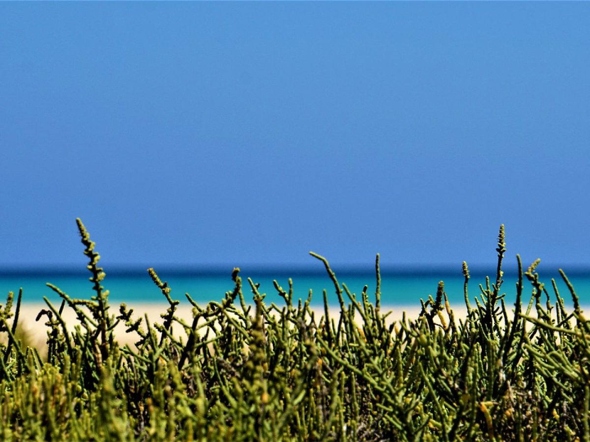 Partir en vacances pas cher aux Canaries : quels avantages ?