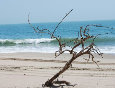 Explorez la Namibie : une aventure aux mille trésors