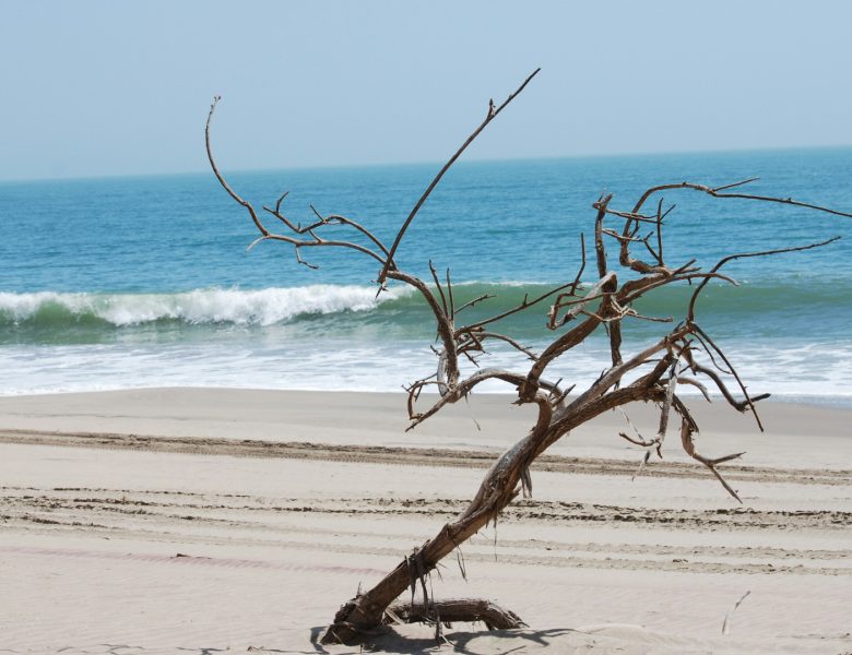 Explorez la Namibie : une aventure aux mille trésors